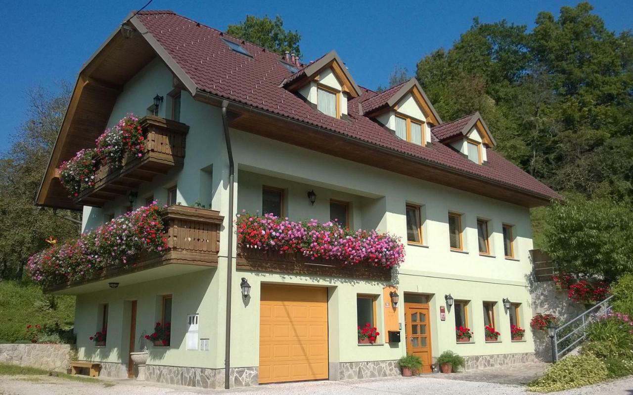 Apartmaji Hribar Pr'Ostank Kamnik Kültér fotó